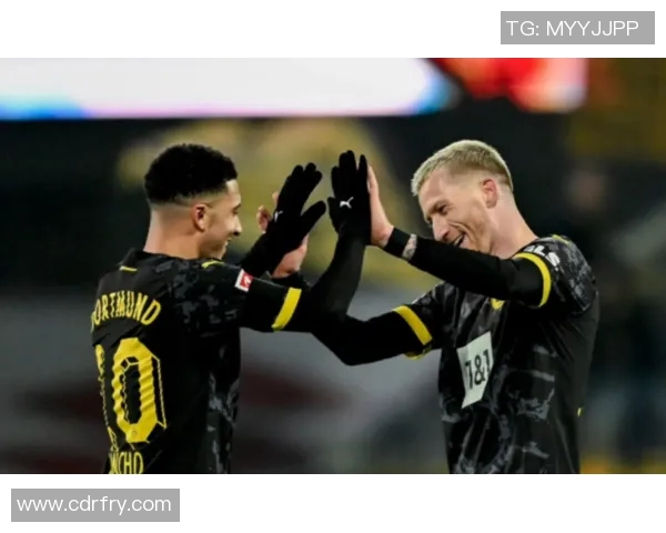 罗伊斯连续破门,多特蒙德止跌回升 罗伊斯连续破门,多特蒙德止跌回升