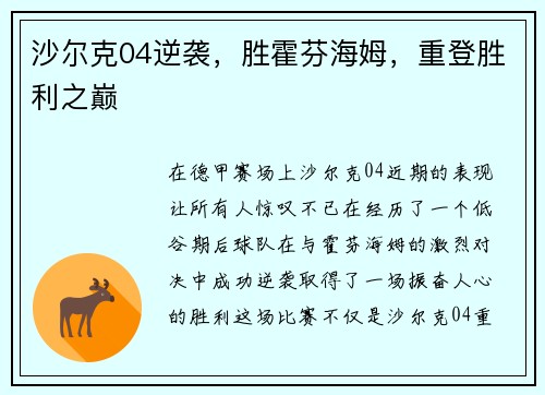 沙尔克04逆袭，胜霍芬海姆，重登胜利之巅